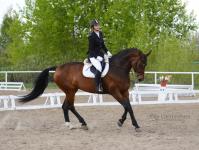 Тюменские наездники поспорят за медали областного чемпионата по конному спорту