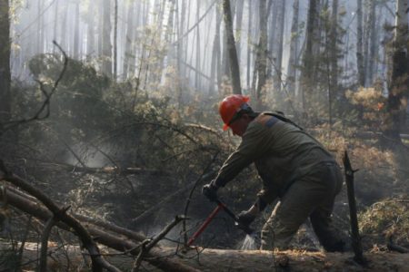 В Тюменской области завели 10 уголовных дел после пожаров