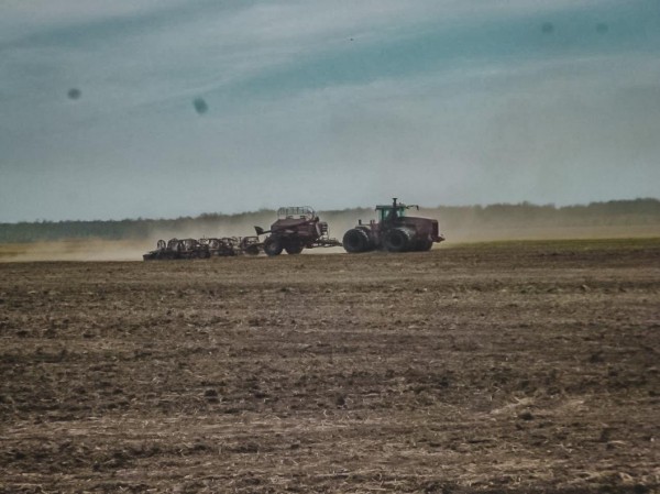 В Аромашевском районе назван лидер посевной кампании 