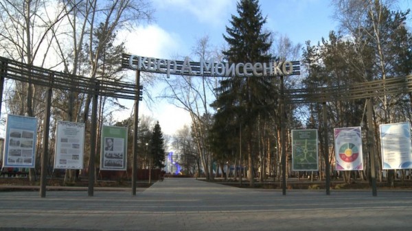 Тюменские ученые-медики организовали выпускной для трех краснокнижных летучих мышей