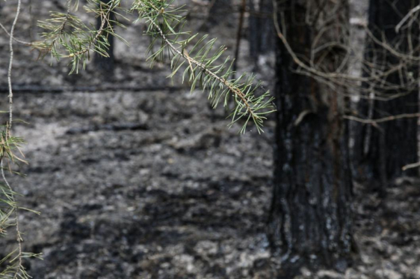 Из тюменского реабилитационного центра "Красная гвоздика" эвакуируют людей