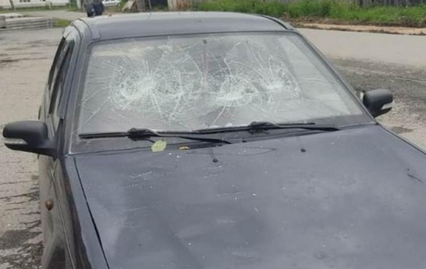 Пьяный селянин набросился на чужой автомобиль с топором