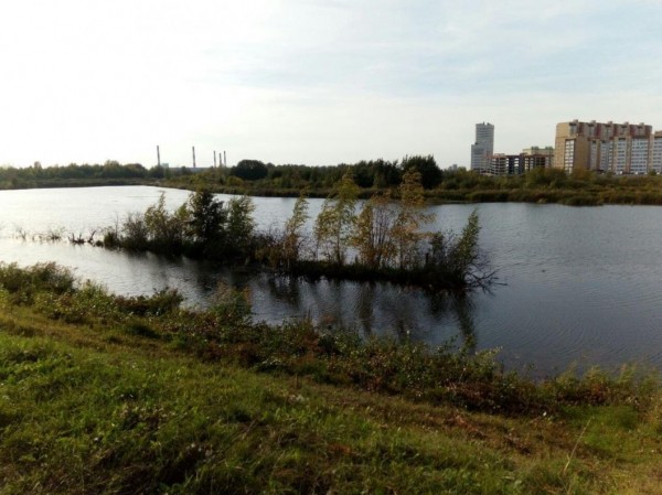 Тело мужчины достали со дна карьера в Тюмени Тело мужчины достали со дна карьера в Тюмени