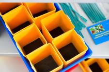 Пластмассовые изделия по чертежам заказчиков изготавливают на тюменском заводе "Расавит" Пластмассовые изделия по чертежам заказчиков изготавливают на тюменском заводе "Расавит"