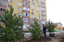 В Тюмени благоустроят 55 придомовых территорий в 2022 году 