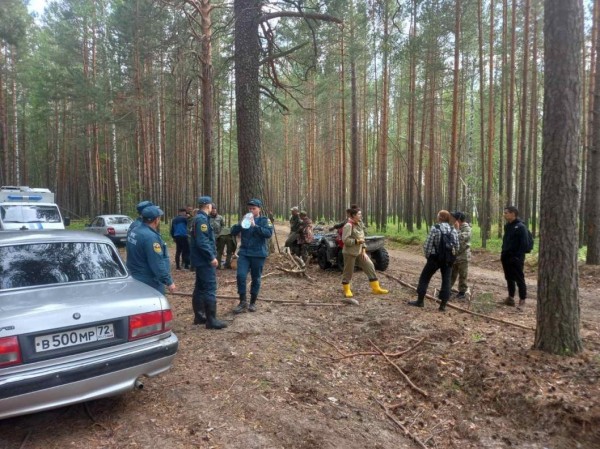 В Исетском районе три дня ищут 78-летнего грибника