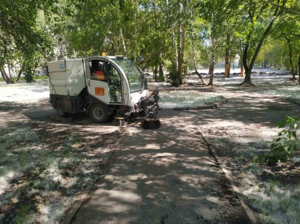 В Тюмени тополиный пух убирают дорожными пылесосами