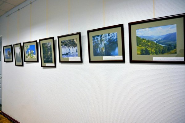 В Тюменской областной думе открылась выставка экологической фотографии