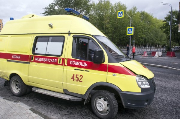 Два ребенка отравились беленой в Ишиме