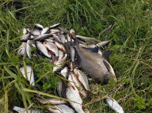 В День города ишимцы встретятся на рыбалке