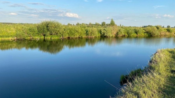 Тобольские браконьеры за вылов осетра получили условный срок 