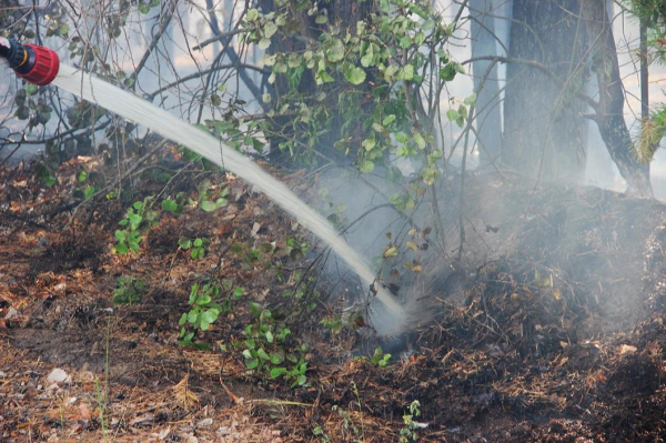 Более полутора миллиона рублей может заплатить тоболяк за брошенные в траву окурки Более полутора миллиона рублей может заплатить тоболяк за брошенные в траву окурки
