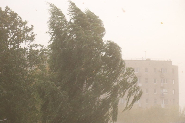 
Штормовое предупреждение
