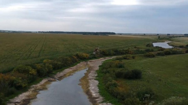 Жители Тюменской области еще успевают наблюдать за полетами серой и белой цапель&nbsp;