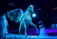 В Тюмени покажут новое уникальное трехчасовое цирковое шоу Гии Эрадзе "Бурлеск" 