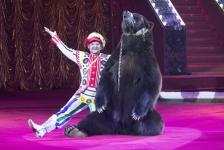 В Тюмени покажут новое уникальное трехчасовое цирковое шоу Гии Эрадзе "Бурлеск" 