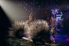 В Тюмени покажут новое уникальное трехчасовое цирковое шоу Гии Эрадзе "Бурлеск" 