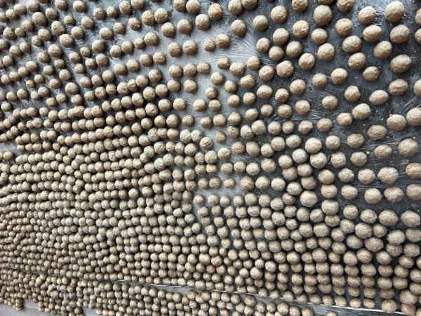 Тюменцы восстановят "здоровье" пруда Плеханоский