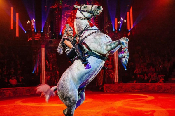 В Тюмени покажут новое уникальное трехчасовое цирковое шоу Гии Эрадзе "Бурлеск" 