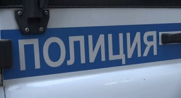 Дачник в Тобольске укатил мусорный контейнер на свой участок