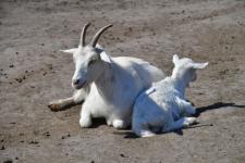 С культурой народов Тюменской области знакомят в этнографическом парке-музее "Юрибей"