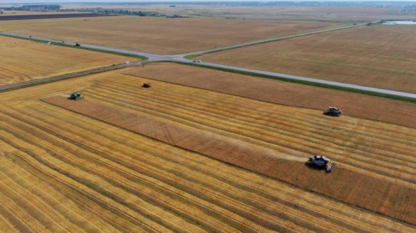 Агрохолдинг "Юбилейный" в Тюменской области инвестировал 170 млн рублей в новую площадку для хранения зерна