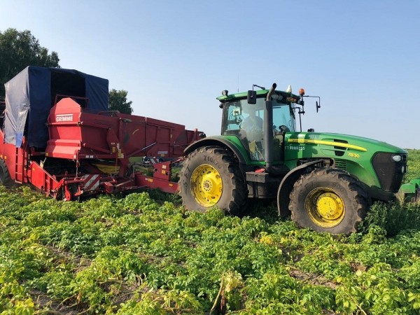 Уборка ранних овощей началась на полях Упоровского района