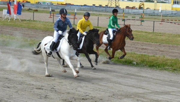 Тюмень примет соревнования по конному спорту на пони