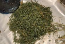 На "ферме" тюменки обнаружили 5 кг марихуаны и 23 грамма гашиша На "ферме" тюменки обнаружили 5 кг марихуаны и 23 грамма гашиша