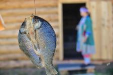 С культурой народов Тюменской области знакомят в этнографическом парке-музее "Юрибей"