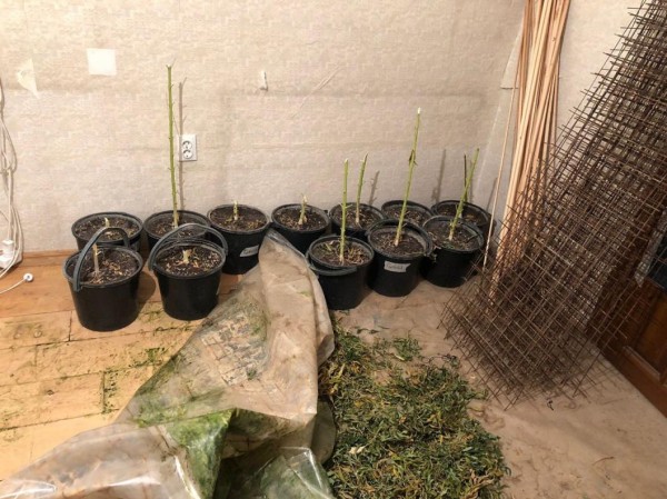 На "ферме" тюменки обнаружили 5 кг марихуаны и 23 грамма гашиша На "ферме" тюменки обнаружили 5 кг марихуаны и 23 грамма гашиша