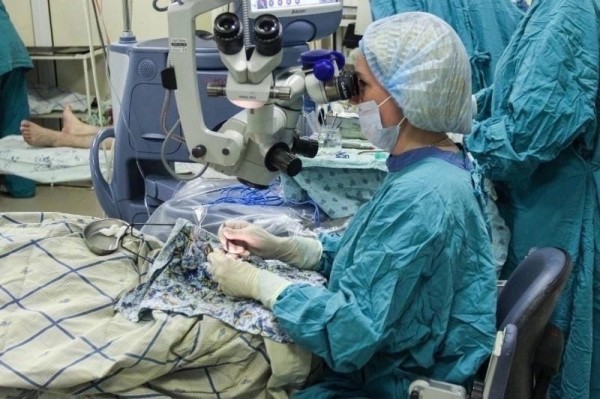 Шерсть собаки стала причиной травмы глаза у жительницы Тюмени