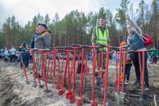 Александр Моор принял участие в акции "Сохраним лес"