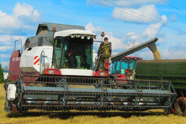 79 процентов площадей обмолотили аграрии Юргинского района
