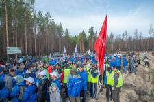 Александр Моор принял участие в акции "Сохраним лес"