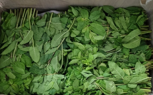 Партии свежей зелени, ягод и цветов из Армении получили предприниматели Тюменской области