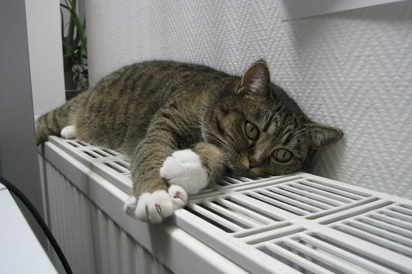 Тепло в дома жителей Тюмени поступит по графику в течение шести дней Тепло в дома жителей Тюмени поступит по графику в течение шести дней