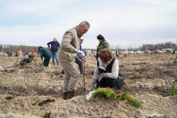 Александр Моор принял участие в акции "Сохраним лес"