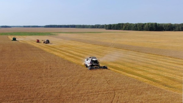 В Тюменском районе зерновые культуры убрали с четверти площадей 