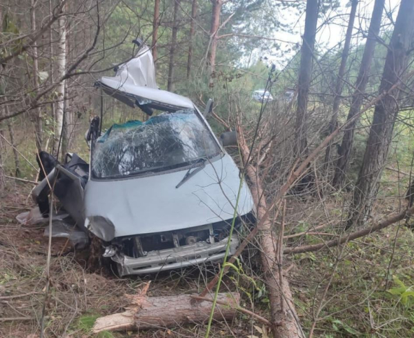 В аварии на автодороге Тюмень - Нижняя Тавда погиб 21-летний пассажир