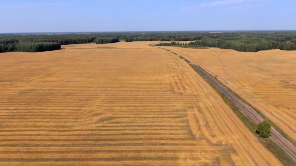 Тюменские аграрии завершают заготовку кормов