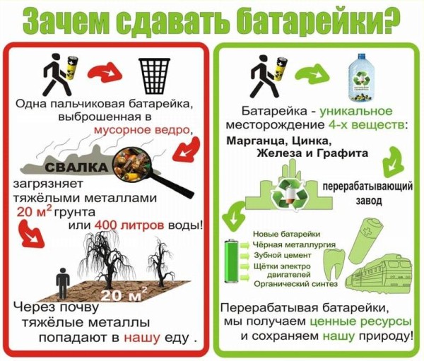 В трех школах Тюмени появились гринбоксы для сбора батареек