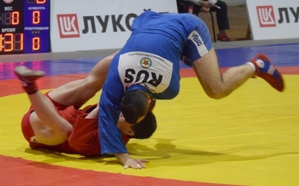 Турнир по самбо организуют в Тюмени ко Дню Героев Отечества