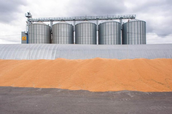 Аграрии Тюменской области завершили уборку зерновых 