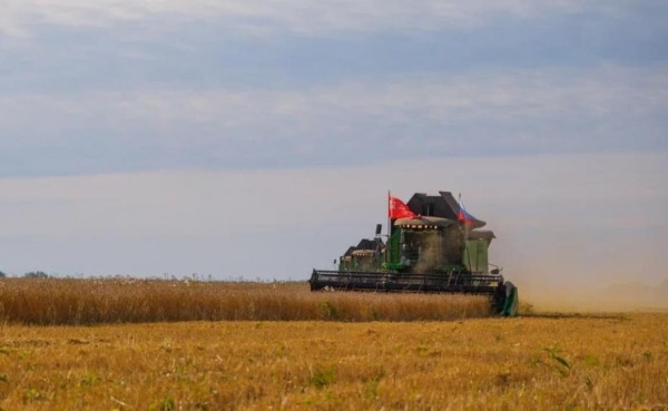 В Тюменской области собрали 1,9 млн тонн зерновых и зернобобовых культур
