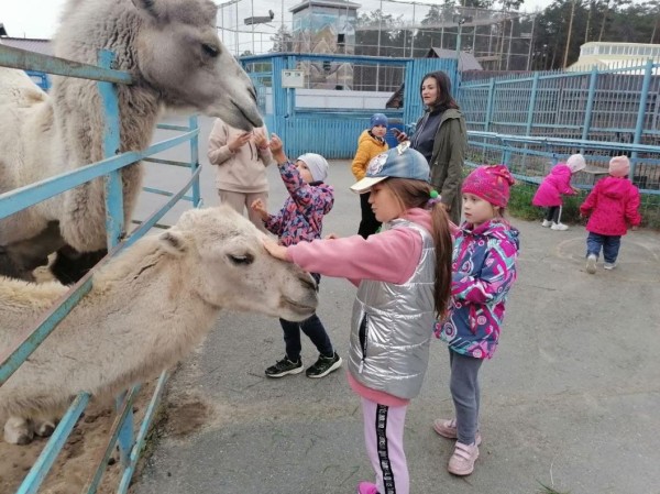  Страусиная ферма и тюменский зоопарк принимают излишки урожая на корм животным