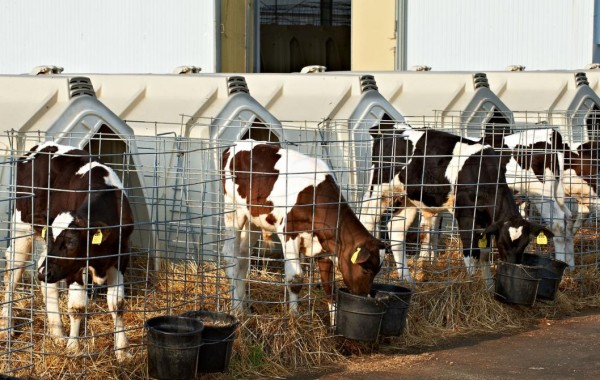 В Исетском районе Тюменской области за пять лет реализовали более 150 инвестпроектов