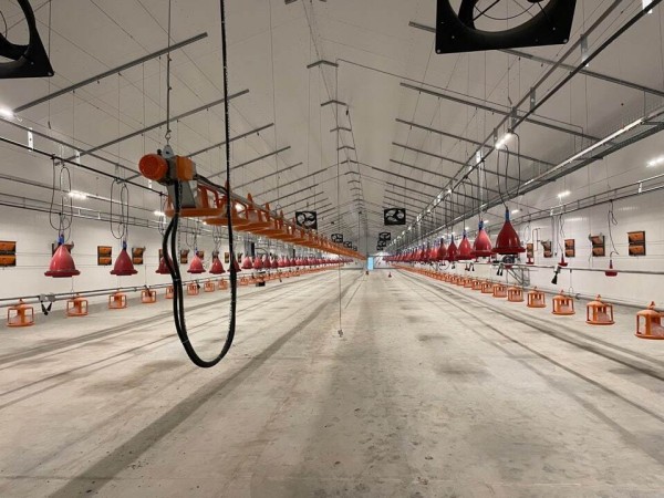 Завод по выращиванию индейки в Тюменской области прошел госэкспертизу