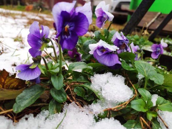 Тюменский психолог советует отвлекаться от плохих мыслей и дозировать информацию