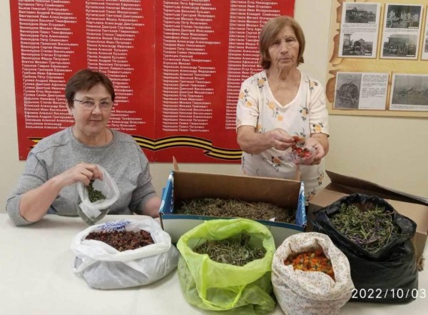Жители Тобольского района заготавливают для воинов травяные сборы и вяжут носки